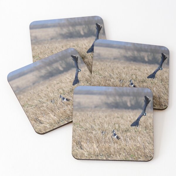 Item preview, Photobomber. Northern lapwing designed and sold by Jouko Lehto Photography.