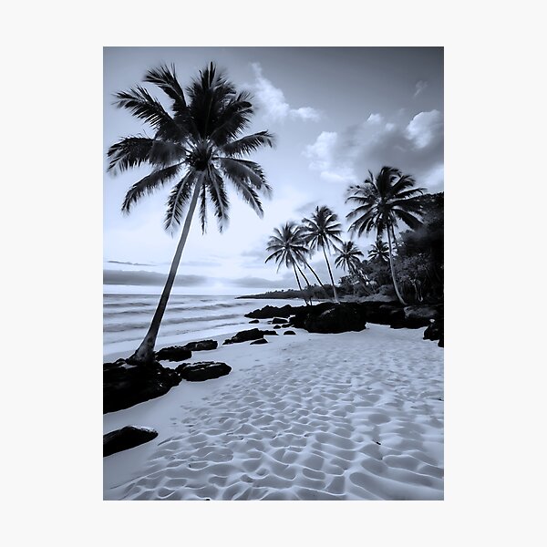 Item preview,  Coastal Serenity: Monochrome Tropical Bliss designed and sold by ShadeScapeArt.