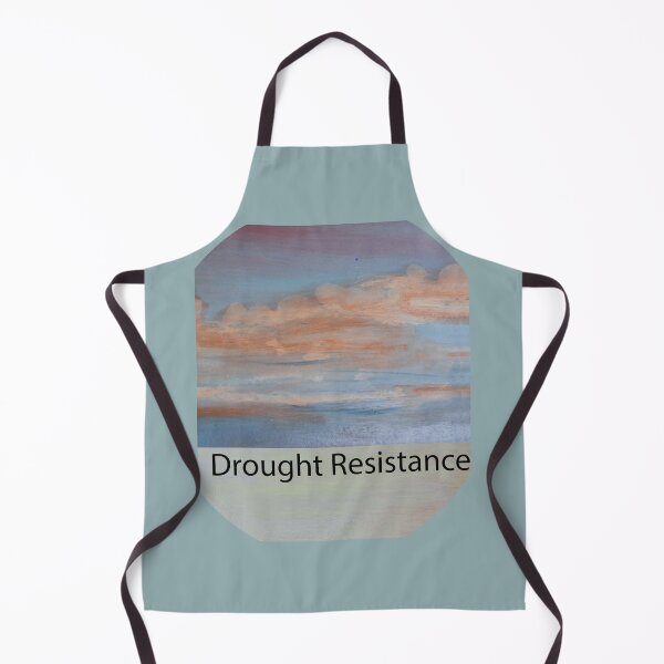 Item preview, Building drought resitant Skies designed and sold by annenambiro.