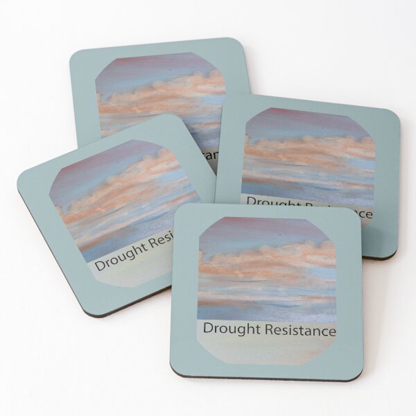 Item preview, Building drought resitant Skies designed and sold by annenambiro.