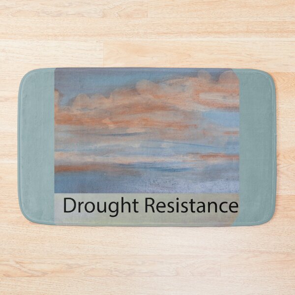 Item preview, Building drought resitant Skies designed and sold by annenambiro.