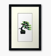 Bonsai Tree Graphic Design Framed Print