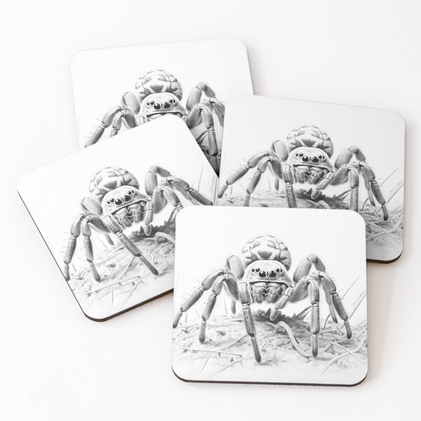 Item preview, Black and white Tarantula pencil drawing designed and sold by Pencil-Art.