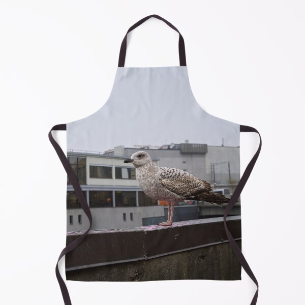 Item preview, Portrait of a gull. Riga 2024 designed and sold by Jouko Lehto Photography.