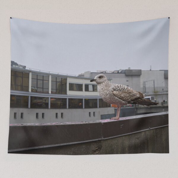 Item preview, Portrait of a gull. Riga 2024 designed and sold by Jouko Lehto Photography.