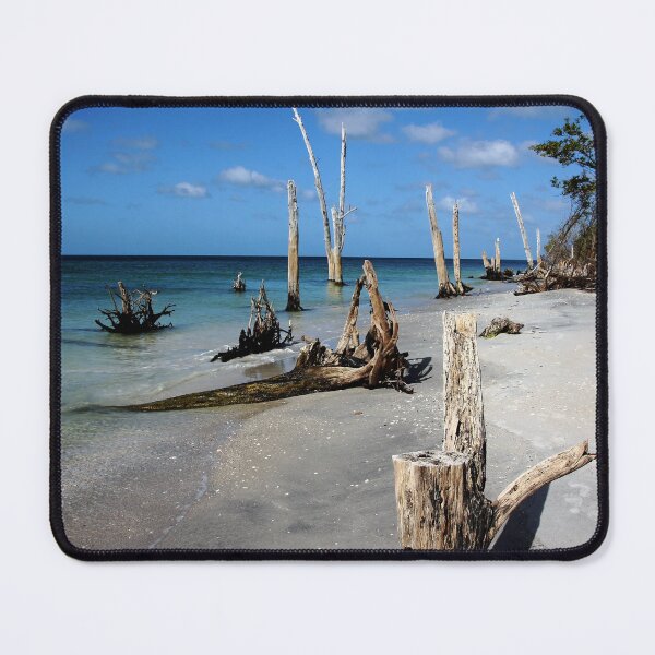 Item preview, Sun Bleached designed and sold by Debbie Oppermann.