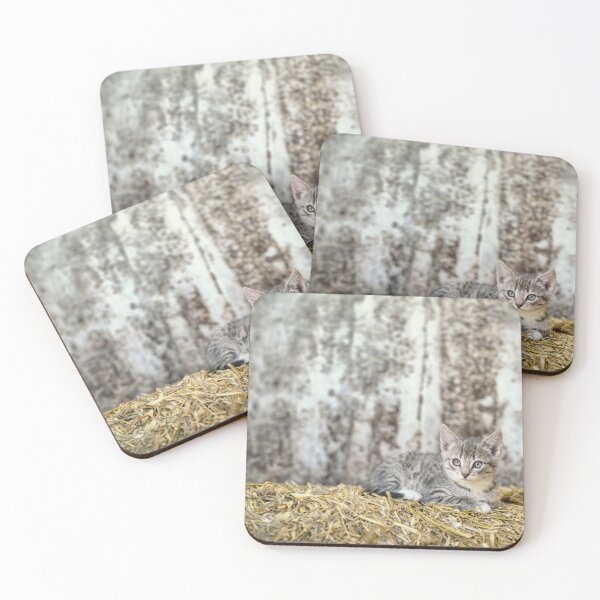Item preview, Small adventure, big discoveries designed and sold by Elianne Turennout.