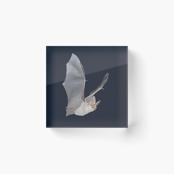 Item preview, Flying Pallid Bat designed and sold by Katrina Deane.