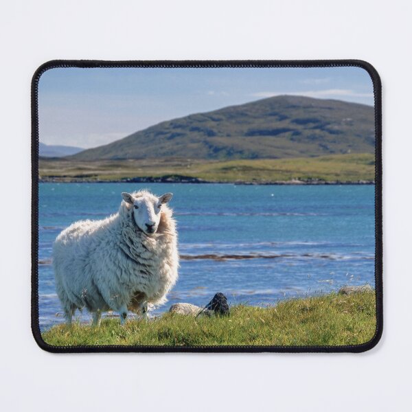 Item preview, A Proud Sheep in The Outer Hebrides designed and sold by Kasia Design.
