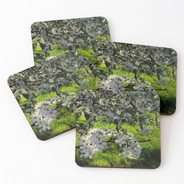 Item preview, Linden. Blooming beautiful tree designed and sold by SonoRiko.