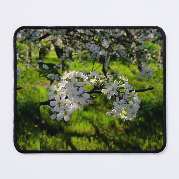 Item preview, Linden. Blooming beautiful tree designed and sold by SonoRiko.