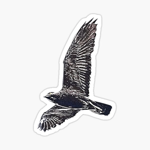 Item preview, Bat Hawk White Alternate Design  designed and sold by designsasstultd.