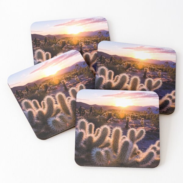 Item preview, Joshua Tree Photography | Sunrise Over Cholla Cactus Garden | Cali Boho | Cactus Photography | Bossy Cat Home designed and sold by BossyCatHome.