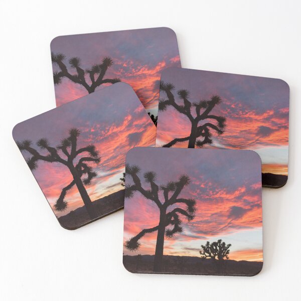 Item preview, Cactus Photography | Sunset in Lost Horse Valley | Cali Boho | Bossy Cat Home designed and sold by BossyCatHome.