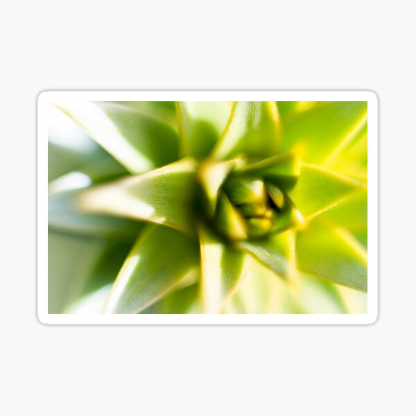 Lime green Lily bud Sticker