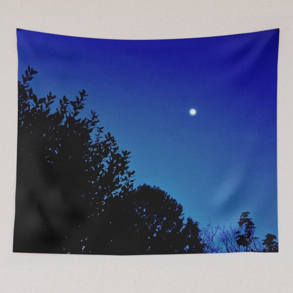 Item preview, Evening Moon designed and sold by ontological.