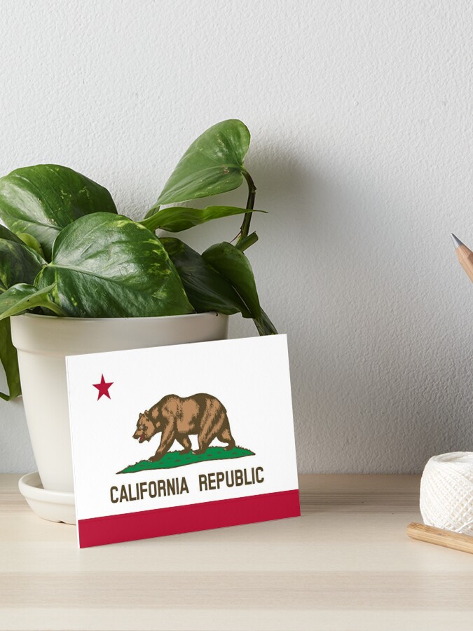 California Republic United States State Flag 