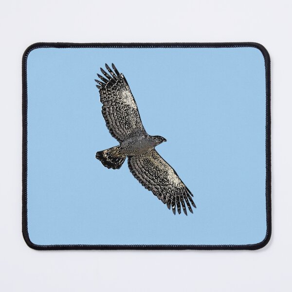Item preview, Western Banded Snake Eagle Black Alternate Design  designed and sold by designsasstultd.