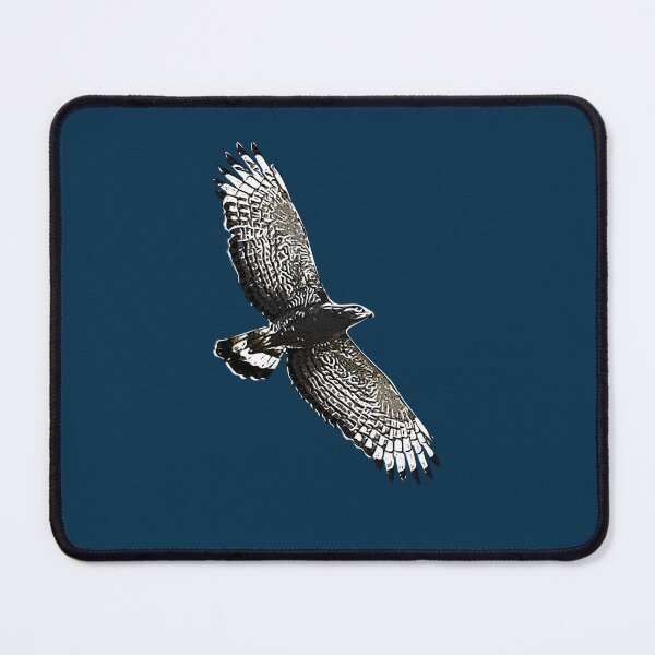 Item preview, Western Banded Snake Eagle White Alternate Design  designed and sold by designsasstultd.