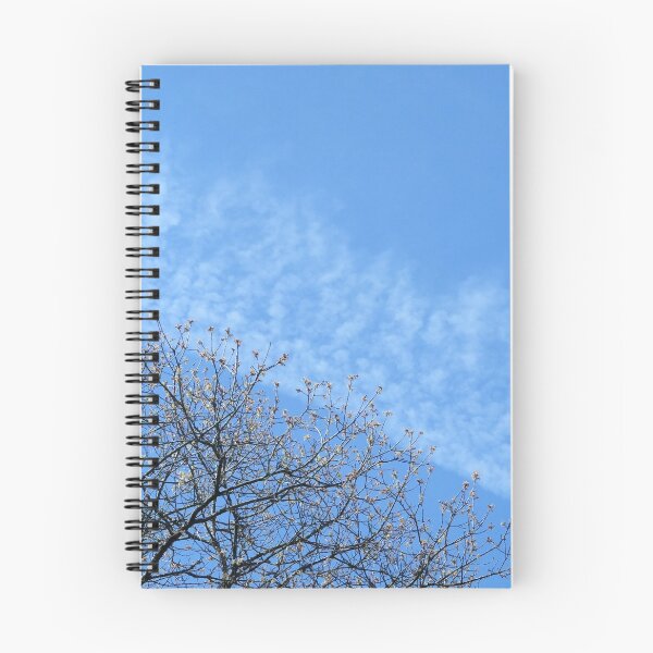 Item preview, " Treetops, Sky & Contrails " designed and sold by Richard Couchman.