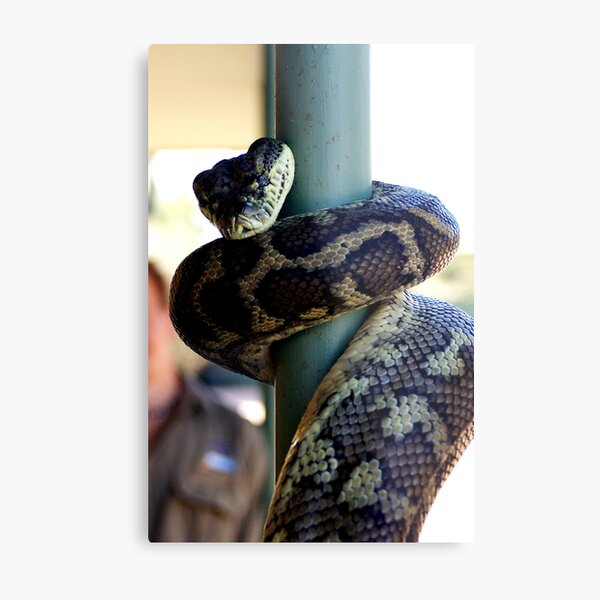 Hello Metal Print