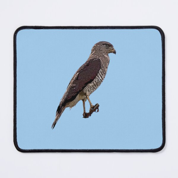 Item preview, Fasciated Snake Eagle Color Design designed and sold by designsasstultd.