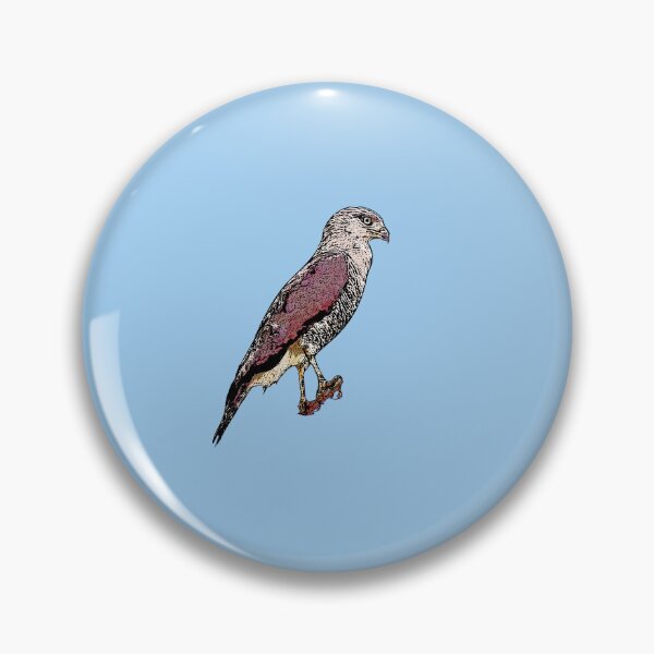 Item preview, Fasciated Snake Eagle Black Alternate Design designed and sold by designsasstultd.