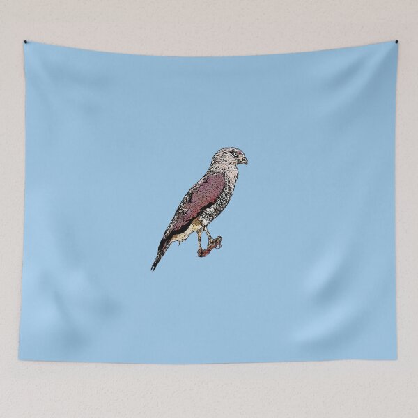 Item preview, Fasciated Snake Eagle Black Alternate Design designed and sold by designsasstultd.