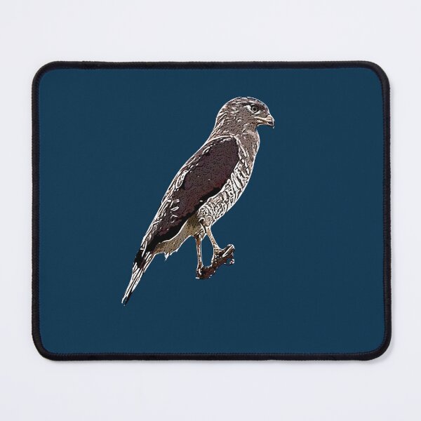 Item preview, Fasciated Snake Eagle White Alternate Design designed and sold by designsasstultd.