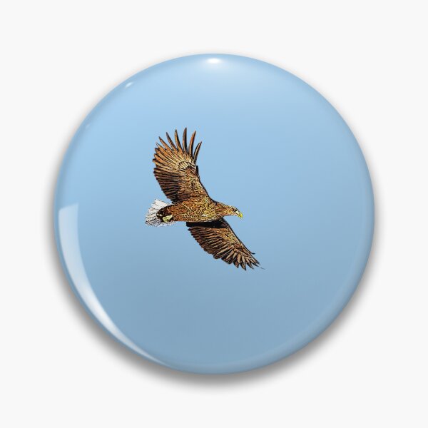 Item preview, White Tailed Eagle Black Alternate Design  designed and sold by designsasstultd.