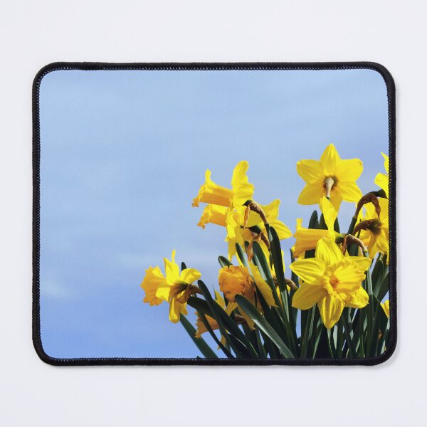 Item preview, Daffodil designed and sold by Dinasworld.