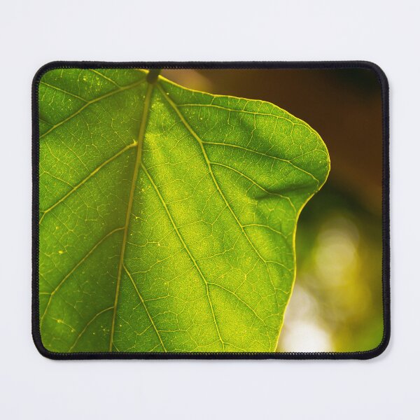 Item preview, backlit green leaf designed and sold by Dinasworld.