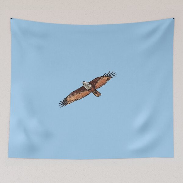 Item preview, Brahminy Kite Black Alternate Design  designed and sold by designsasstultd.