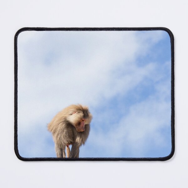 Item preview, Baboon monkey designed and sold by Dinasworld.