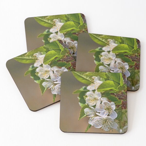 Item preview, Cherry Blossoms designed and sold by alanathrower.