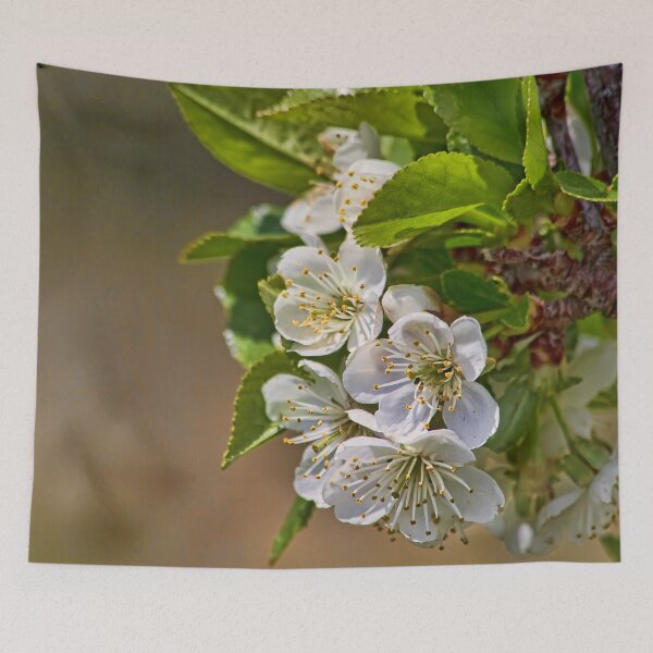 Item preview, Cherry Blossoms designed and sold by alanathrower.