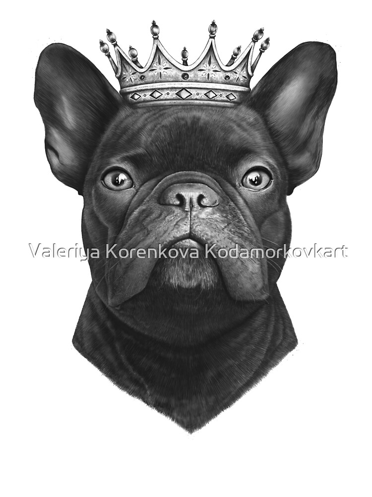 babies king french bulldogs