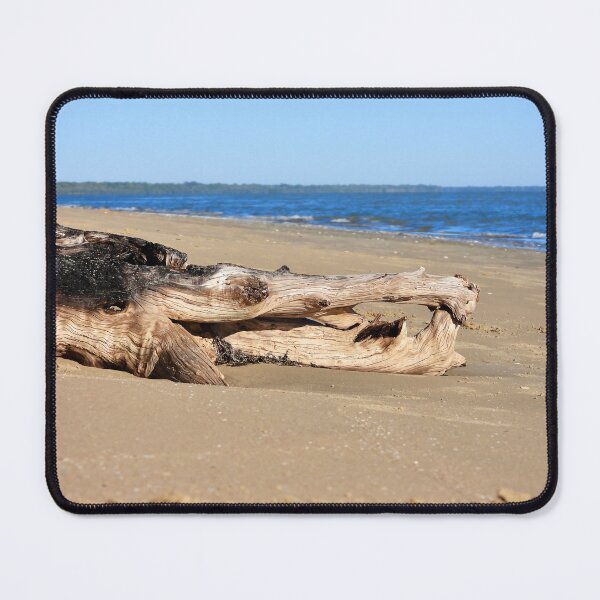 Item preview, log trying to look like a Crocodile designed and sold by Mark Grimsley.