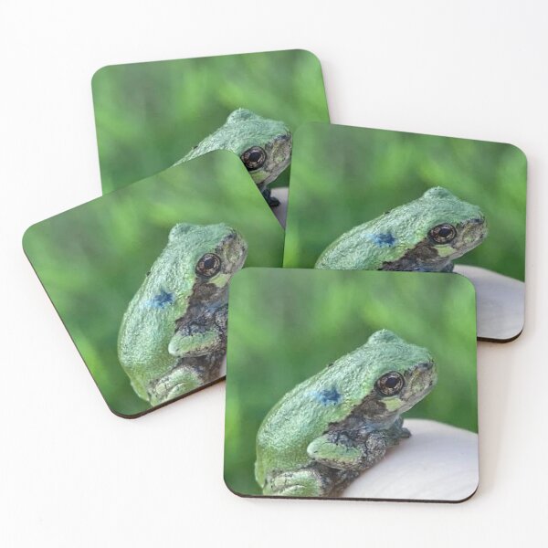 Item preview, Small Green Frog designed and sold by Nathan Gruber.