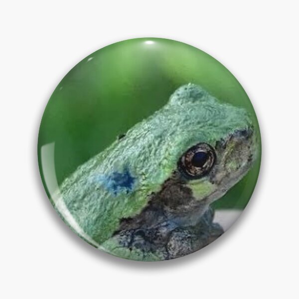 Item preview, Small Green Frog designed and sold by Nathan Gruber.