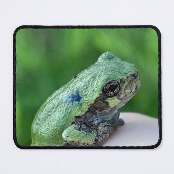 Item preview, Small Green Frog designed and sold by Nathan Gruber.
