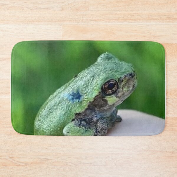 Item preview, Small Green Frog designed and sold by Nathan Gruber.