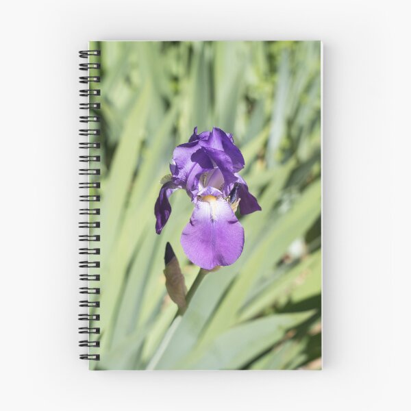 Item preview, A Vibrant Purple Iris Flower Against Soft Green designed and sold by Georgia Mizuleva.