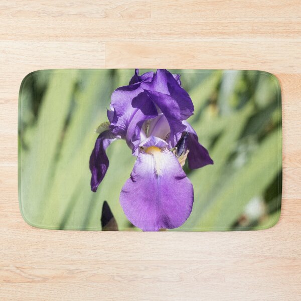 Item preview, A Vibrant Purple Iris Flower Against Soft Green designed and sold by Georgia Mizuleva.