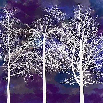 Artwork thumbnail, Trees by Rvgill22