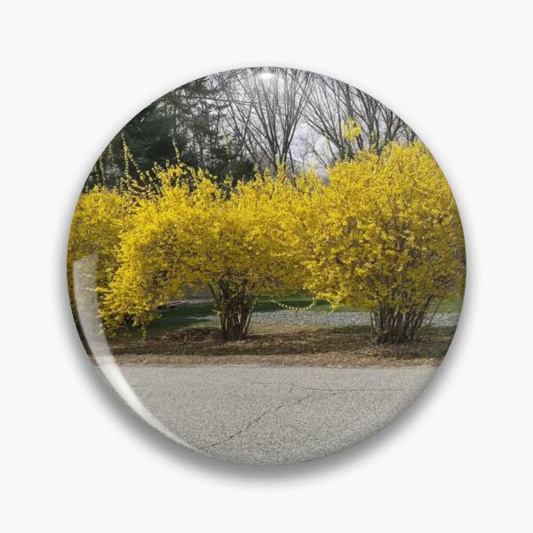 Item preview, Forsythia  designed and sold by Amanda1775.