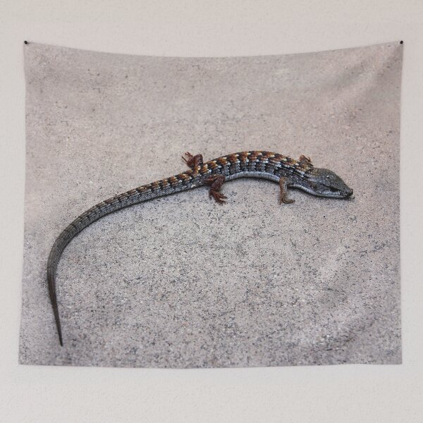 Item preview, Little Lizard designed and sold by heatherfriedman.