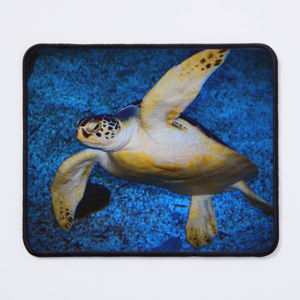 Item preview, Sea Turtle designed and sold by Savannah Gibbs.