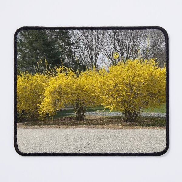 Item preview, Forsythia  designed and sold by Amanda1775.