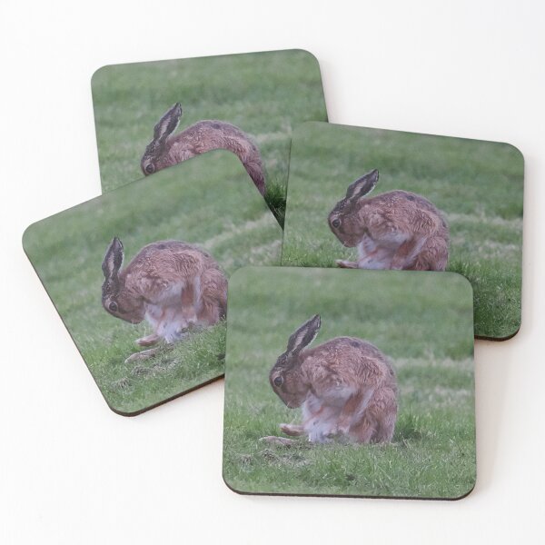 Item preview, Hare designed and sold by Madcreat.
